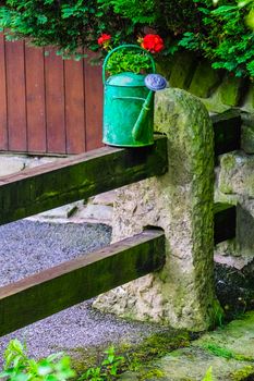 A green metal watering with red geranium on a wood fence.