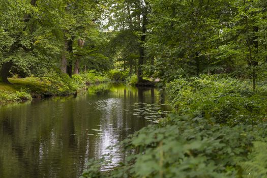 green forest in national park de veluwe in holland with pond and trees