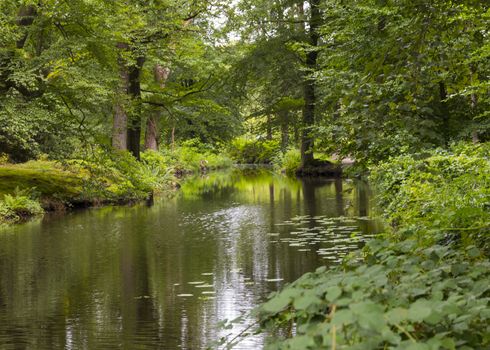 green forest in national park de veluwe in holland with pond and trees