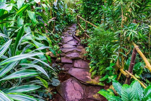 beautiful stone path with flowing water in a tropical garden, modern natural architecture