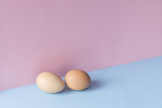 Minimalist image of two brown eggs on a light blue and pink background. Copy space available.