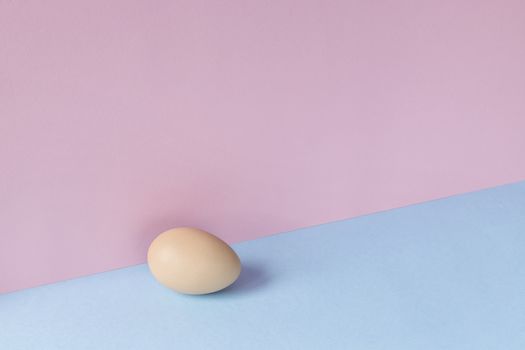 Minimalist image of a brown egg on a light blue and pink background. Copy space available.