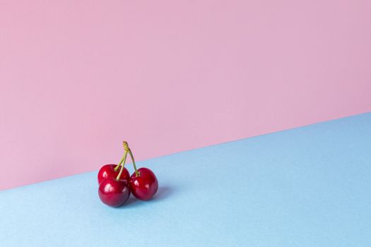 Minimalist image of a bunch of cherries on a light blue and pink background. Copy space available.