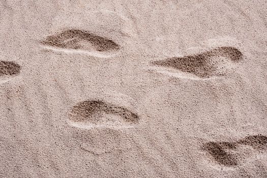 Many pits on sand, Caused by people's footprint