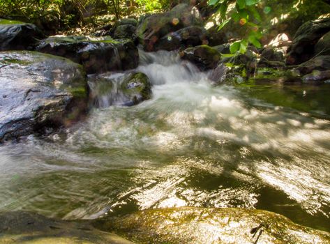 Streams of waterfalls of the rainforest are turbulent flowing in Rainy season