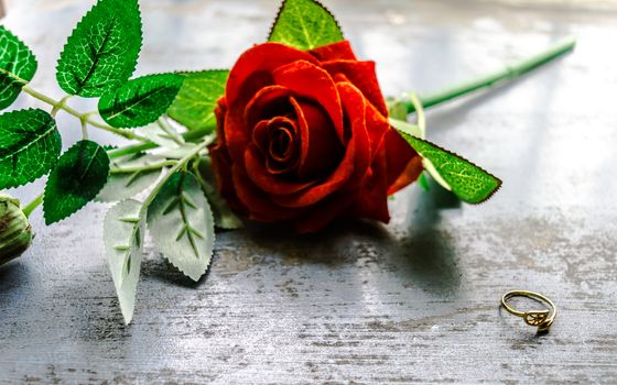 Close up gold engagement ring jewelery on rustic metal floor. Soft focus romantic Red rose flower in background. Love Proposal or Propose concept for valentines day wedding and holidays. Copy Space.