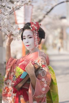 Maiko in kimono with kanzashi pins and holding a cherry branch in Kyoto's Gion district.