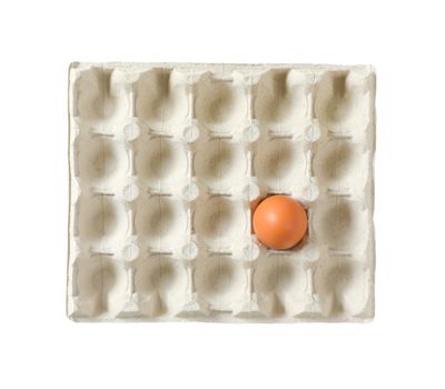 One brown egg left in a twenty dimpled egg tray