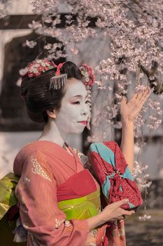 Maiko in a kimono posing in front of a traditional Japanese house surrounded by cherry blossoms.