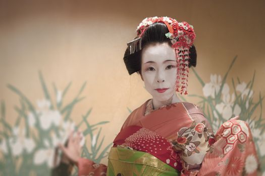 Japanese Maiko or geisha in red kimono coifed hair brooch with patterns of red and white plum blossoms