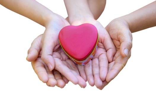 The hands of children and adults in the family have a heart in their hands. Isolate