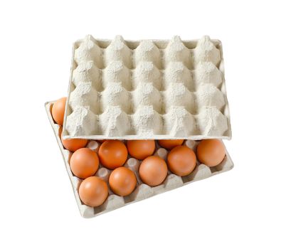 Twenty fresh brown eggs in a paper egg tray isolated on white