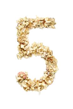 Number 5 made of pencil shavings for your project.