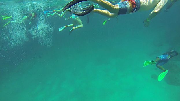 swimming in the sea snorkeling in belize free diving blue underwater sea