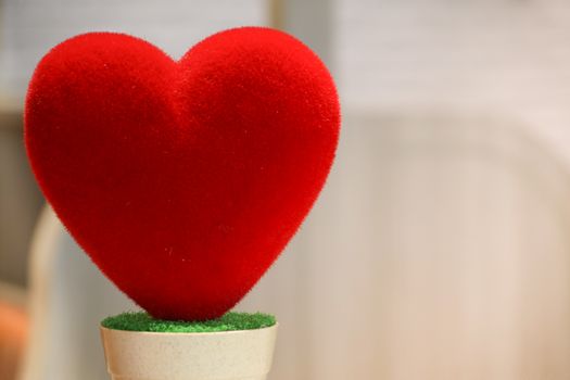 love red heart on the pot, soft and cute, valentines concept
