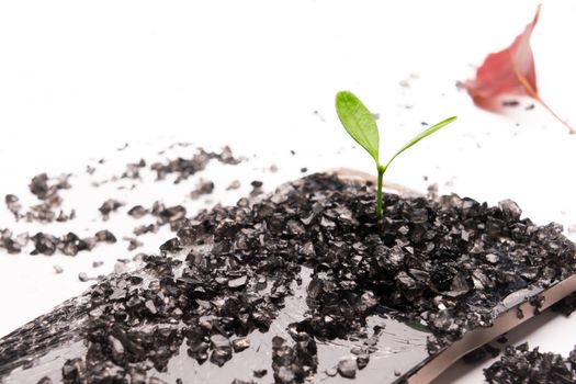 little tree growing on the broken smart phone, environment, knowledge, innovation and technology concept with copy space