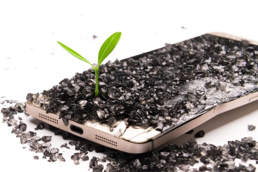 little tree growing on the broken smart phone, environment, knowledge, innovation and technology concept with copy space