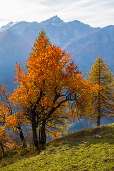 la salle in val aoste in italy