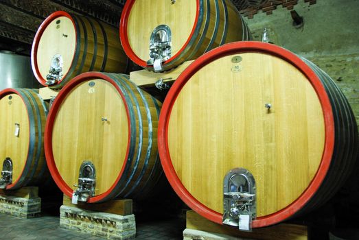 Wine cellar with Barolo wine