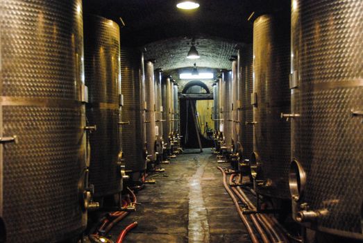 Wine cellar with Barolo wine