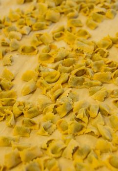 Agnolotti: home made pasta of the Langhe, Piedmont - Italy