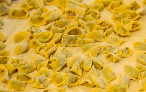 Agnolotti: home made pasta of the Langhe, Piedmont - Italy