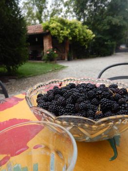Succulent blackberries in a bowl ready to be eaten