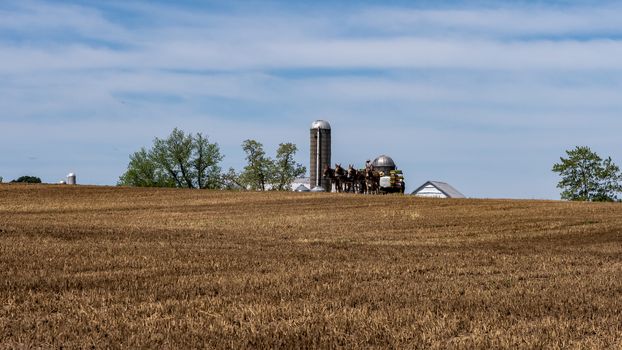 Amish Farmers Planting with 4 Horses on a Hill on a Sunny Spring Day