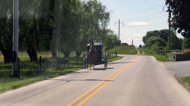 View of an Amish Horse and Buggy Going down the Road on a Sunny Day