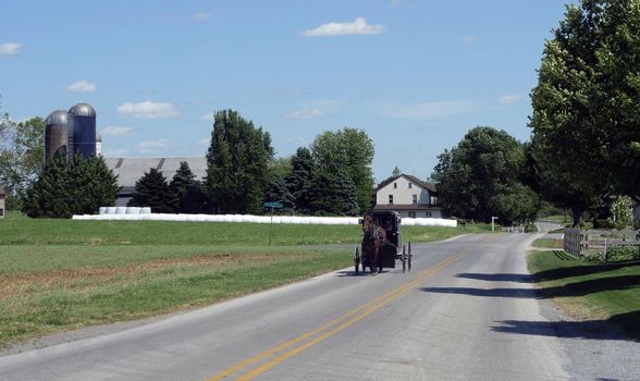 View of an Amish Horse and Buggy Going down the Road on a Sunny Day