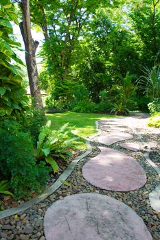 Landscaping in the garden. The path in the garden