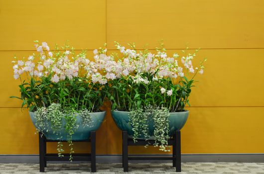 modern mixed flower composition
