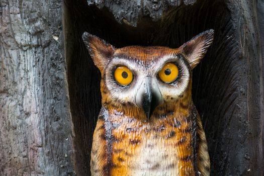 Wooden Owl statue in the tree