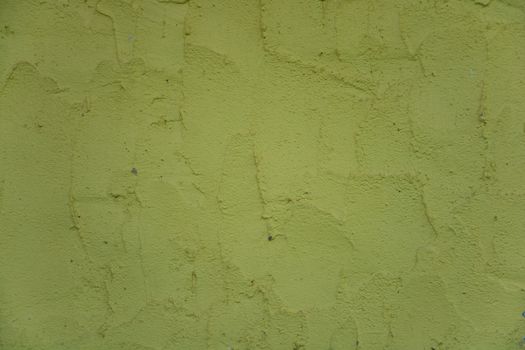 Olive wall texture