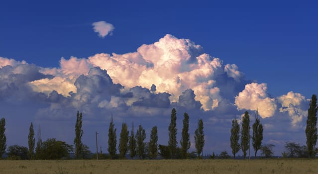 A very large beautiful white cloud in the sunset rays of sunlight hung over the slender poplars and the yellow field the late afternoon