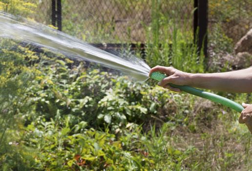 A young man irrigates a flower garden in the garden and holds a green water hose in his hands.