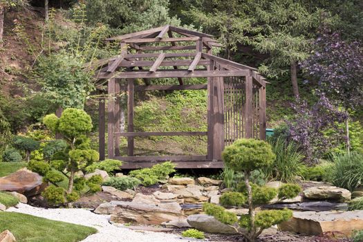 Wooden arbor surrounded Beautiful garden, bonsai trees, pine trees in a traditional Japanese stone garden