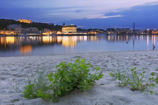 Alder bush is located on the city beach Truhanov Island with a view of the sunset and the shining city embankment of the Dnieper River in Kyiv, Ukraine