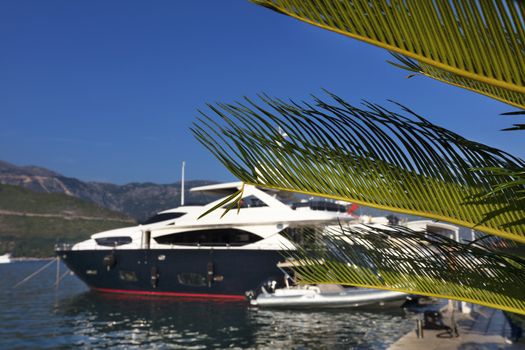 Branches of colorful green coconut palm on the background of defocused blue sky, sea bay, boats and mountains