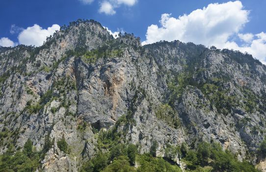 A view of the high rocky mountain of Montenegro covered with tall, but rare trees.