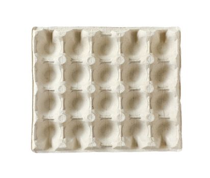 Empty egg carton with twenty dimples isolated on white
