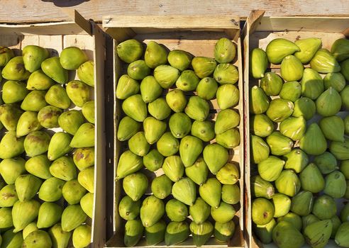 Ripe fruits of green figs in wooden boxes are lit by the rays of the setting sun