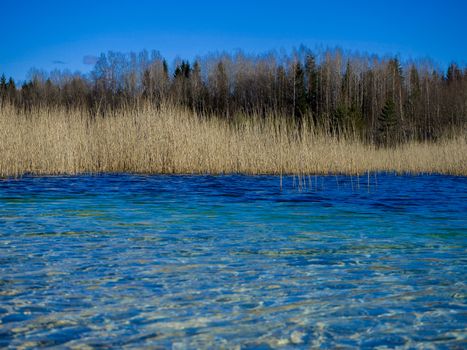 Abstract Water surface of a lake. Abandoned Quarry Of Rummu, Estonia. Panoramic View. Copy space. Quarry Of Rummu. Estonia