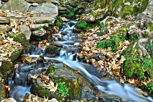 stream in forest long exposition