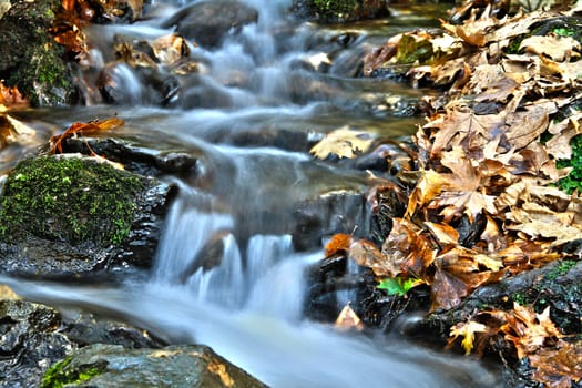 stream in forest long exposition