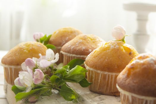 Golden muffins with powdered sugar and spring flowers Tasty dessert with sunny light.