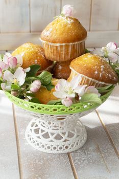 Home made muffin cupcake with sugar powder. Easter sweet dessert cake. Decorated with apple flowers