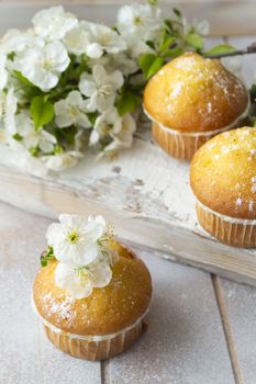 Mini muffins decorated with cherriy flowersc close up. Vertical image