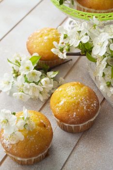 Golden muffins with cherriy flowers on shabby background
