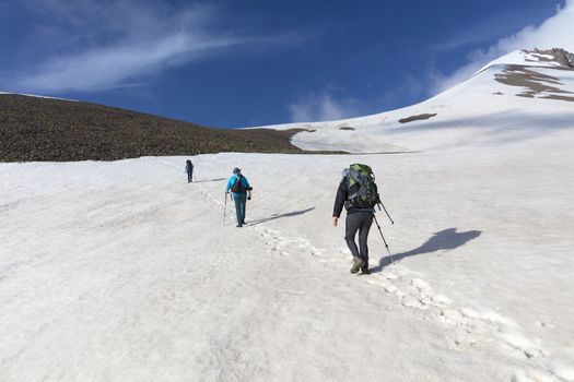 A group of tourists with backpacks goes hiking on a snowy mountain